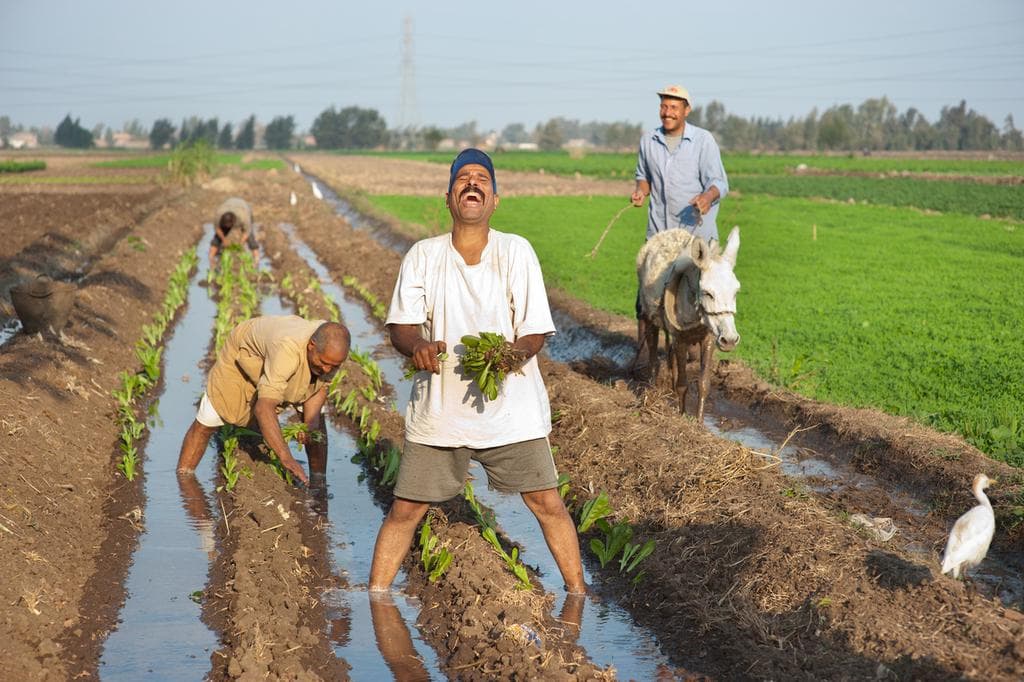 Rural and agriculture connectivity